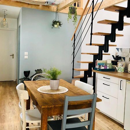 Maison Duplex, Avec Terrasse Dans Strasbourg Eksteriør billede