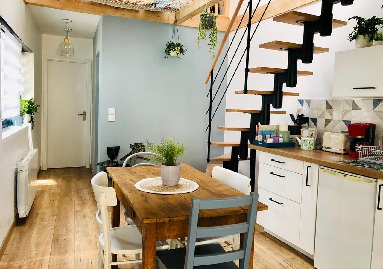 Maison Duplex, Avec Terrasse Dans Strasbourg Eksteriør billede