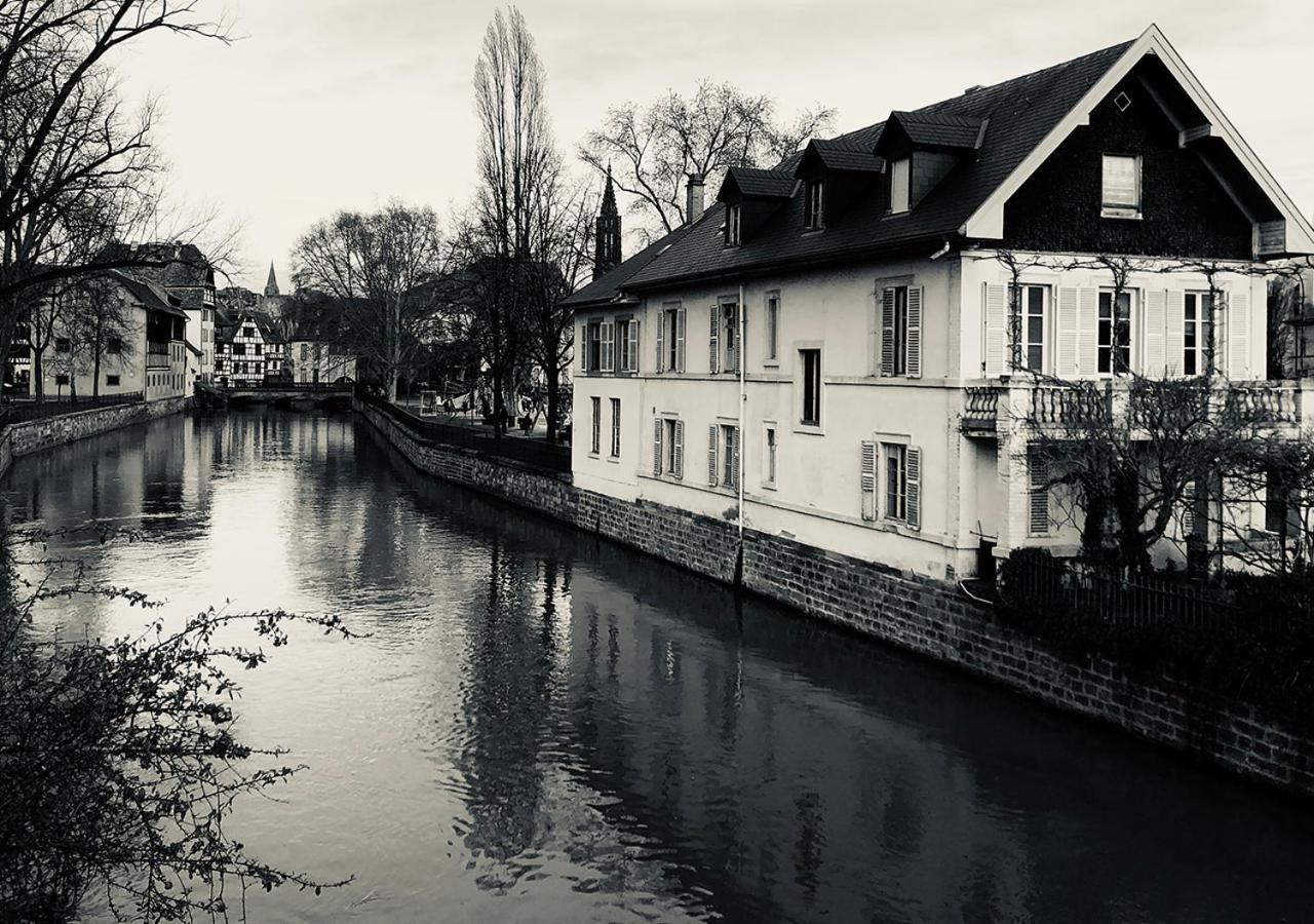 Maison Duplex, Avec Terrasse Dans Strasbourg Eksteriør billede