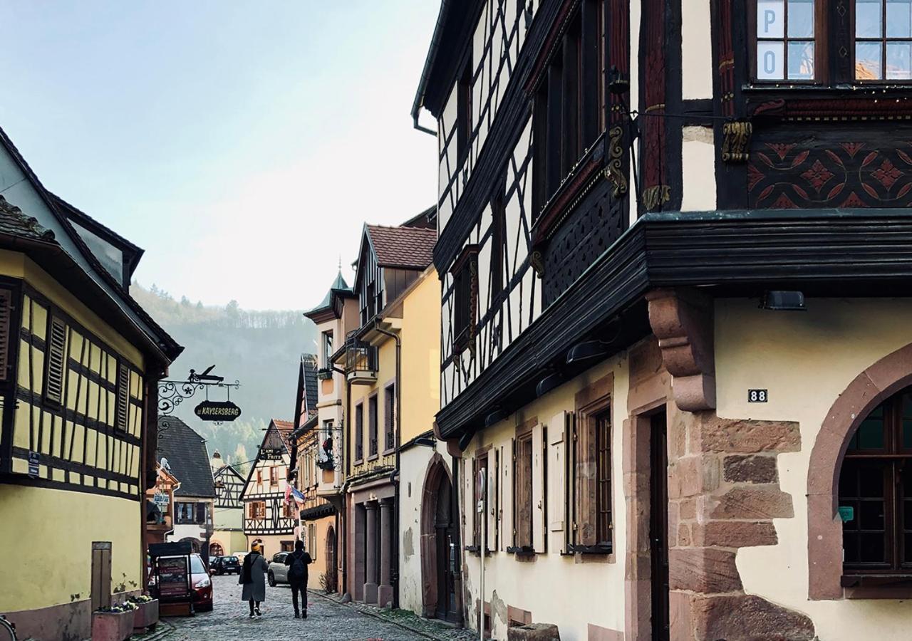Maison Duplex, Avec Terrasse Dans Strasbourg Eksteriør billede